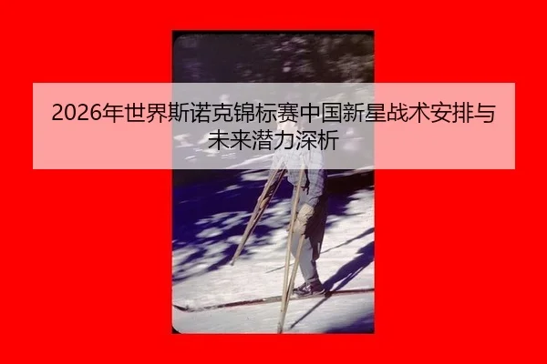 nian-shi-jie-si-nuo-ke-jin-biao-sai-zhong-guo-xin-xing-zhan-shu-an-pai-yu-wei-lai-qian-li-shen-xi-2-412.jpg