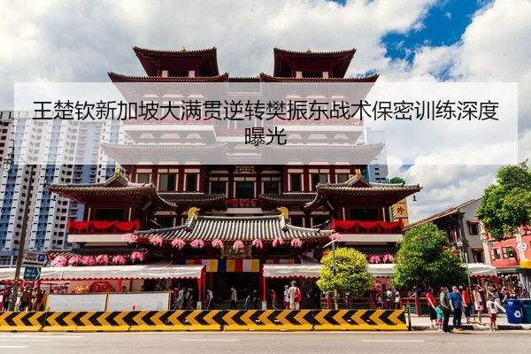 王楚钦新加坡大满贯逆转樊振东战术保密训练深度曝光