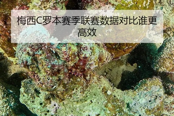 mei-xi-luo-ben-sai-ji-lian-sai-shu-ju-dui-bi-shui-geng-gao-xiao-2-243.jpg