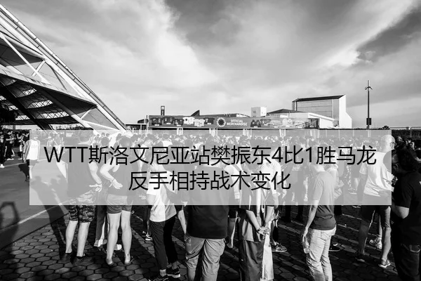 WTT斯洛文尼亚站樊振东4比1胜马龙反手相持战术变化